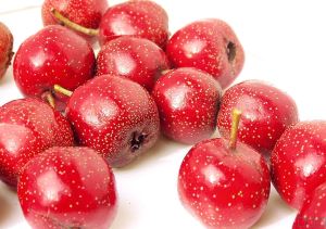 Extract de fructe de paducel