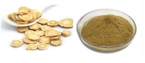 Organic Astragalus Extract Powder Organic Astragalus Extract Powder