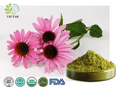 Extract de echinacea