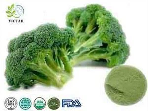 Broccoli Pulbere