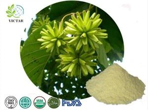 extract de camptotheca acuminata