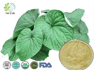 Kava Extract