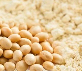 Ce face ca proteina din soia să fie indispensabilă în procesarea cărnii?